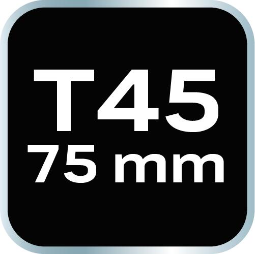 TORX bit T45 x 75 mm, S2 x 2 pcs.