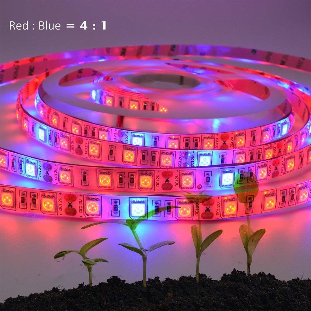 LED Plant Growth Light String 5050 SMD LED Light Waterproof Plant Light for Greenhouse