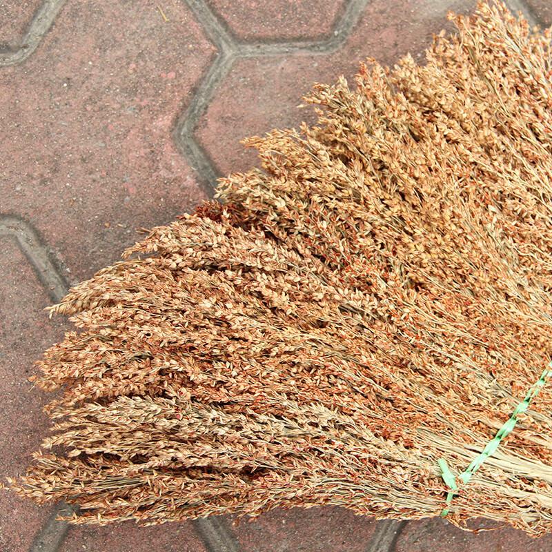 Wooden Handle Sorghum Broom - Long Style (5-Pack)
