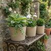 Seagrass Planters Set of 3 Plant Pots for Indoor Outdoor Patio Balcony Natural