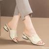 Solid color Summer Sexy soft-soled shoes Fashionable versatile women Peep Toe Slippers Sexy Comfortable High Heels Shoes