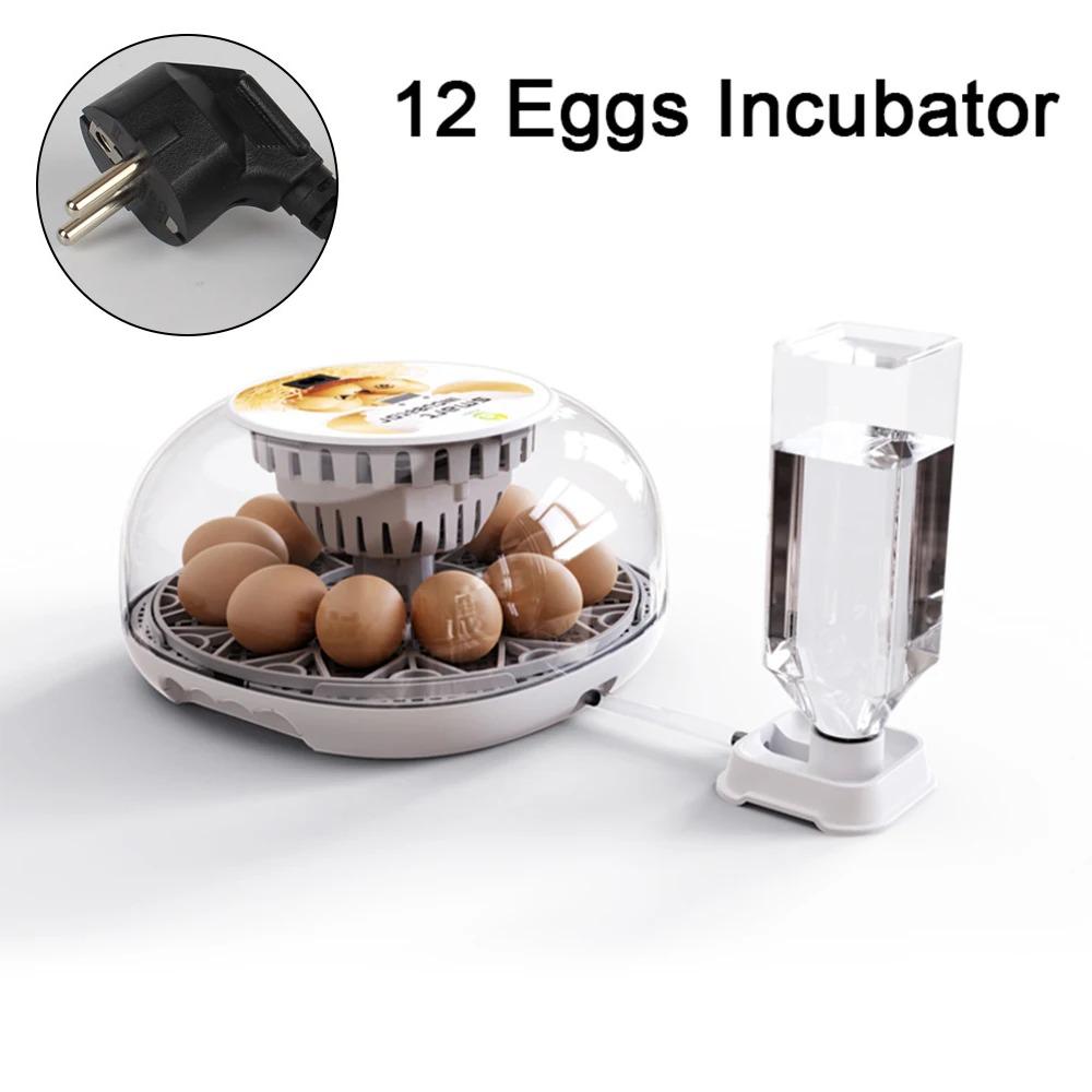 

Smart Automatic Incubator, Household Mini Incubator, Multiple Functions, Home Use, Children s Science Education & Enlightenment