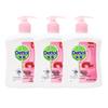 Healthy Antibacterial Hand Wash 3-Pack