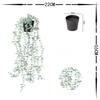 Artificial Hanging Plants Set with Small Pot Eucalyptus Leaf Vine Potted for Indoor Outdoor Wall Home Shelf Decoration