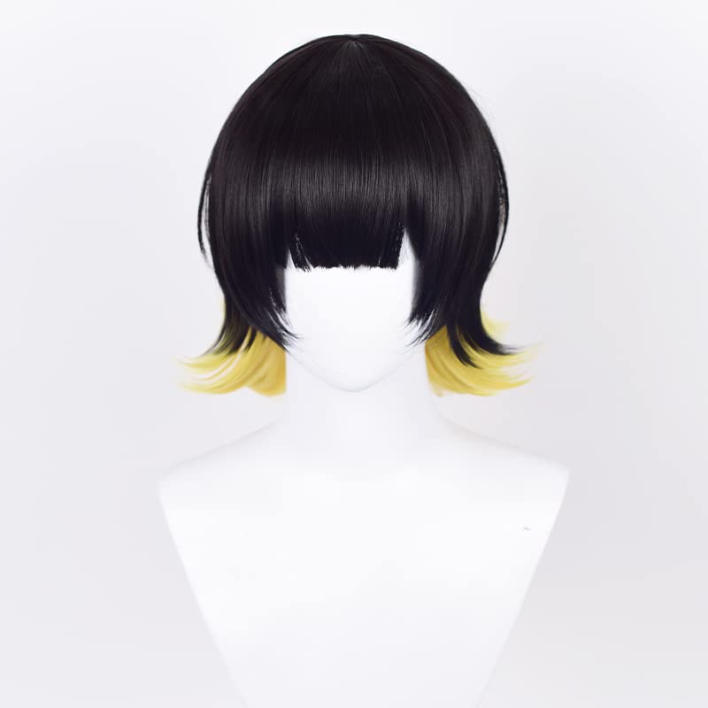 Blaues Locken-Stil Horaku Mawaki Perücke, Cosplay Perücke, Hitzebeständig, Schulveranstaltungsperücke mit Netz (Horaku Mawaki [Perücke])