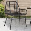 VidaXL Garden Chairs 2 Pcs Black Woven Resin, Garden Seat, Outdoor Seat, Outdoor Chair, Garden Seat, 369091