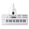 Instrumentos musicais – Instrumentos de teclas