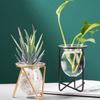 Decoration Plants Frame Hydroponic Vase Terrarium Metal Holder Iron Geometric Pattern Glass Planter