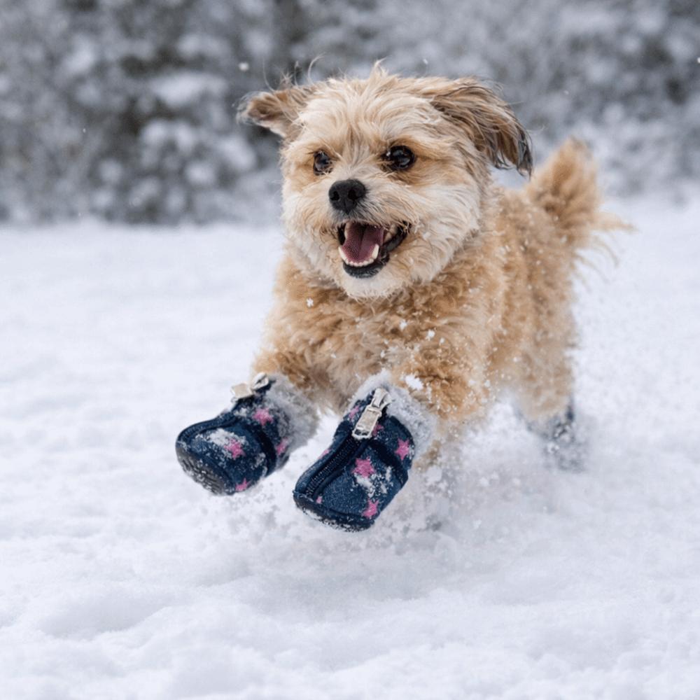 4 pieces/set Warm Winter Dog Boots Wear-Resistant Dog Cotton Shoes Puppy Paw Protector Hiking