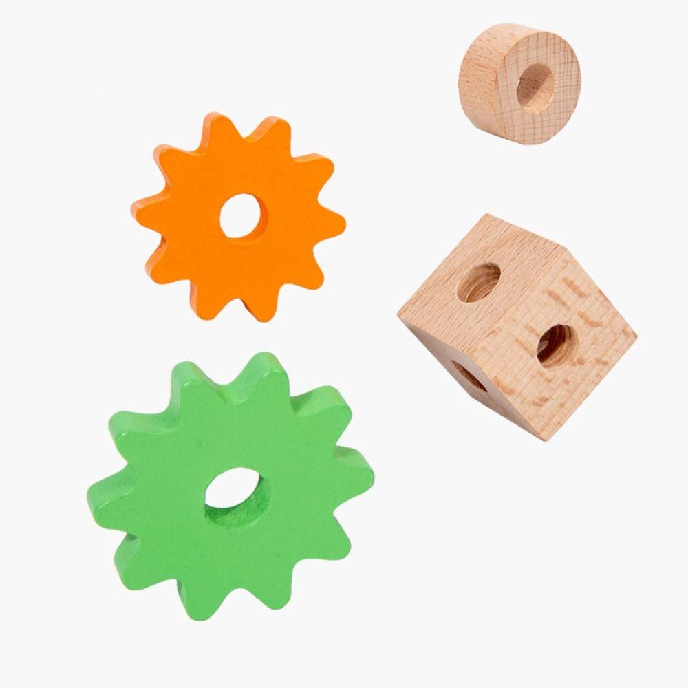 Wood Puzzle Nut Assembly Toy Toolbox Nut Screw Disassembly Toys  Home Decoration
