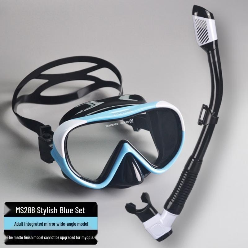 MS288 Full Dry Snorkel & Mask Set