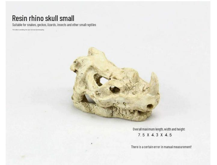 Akril Hüllőtenyésztő Doboz Dekoratív Koponyával