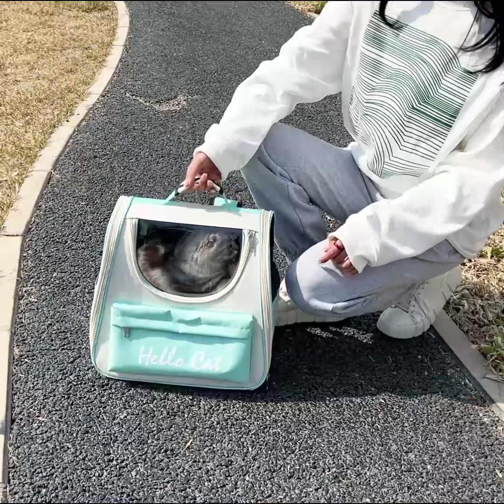 Cat Backpack Carriers Bag, Dog Backpack, Pet Bubble Backpack for Small Cats Puppies Dogs Bunny