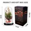 Symulacja Dekoracja Choinkowa Światło LED Wieczny Kwiat Szklana Kopuła Pudełko Prezentowe Prezent na Boże Narodzenie Walentynki Dekoracja