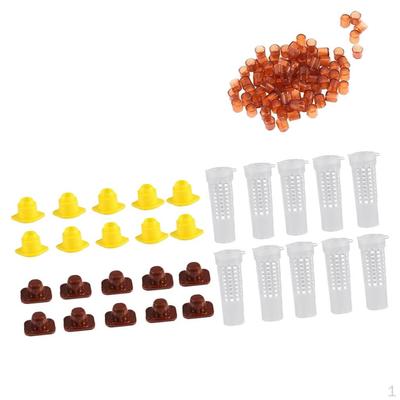 Cage porte-gobelets d'élevage de reine, 130 pièces, pour apiculture