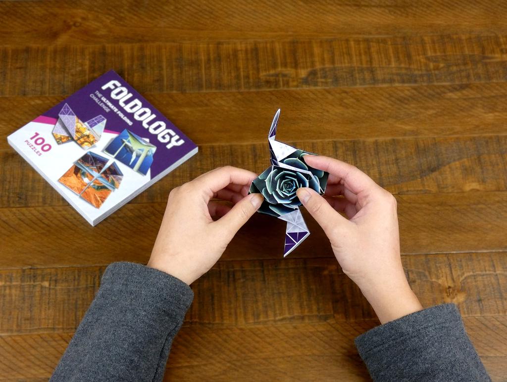 FOLDOLOGY Origami Puzzle Game FY01 Authentic