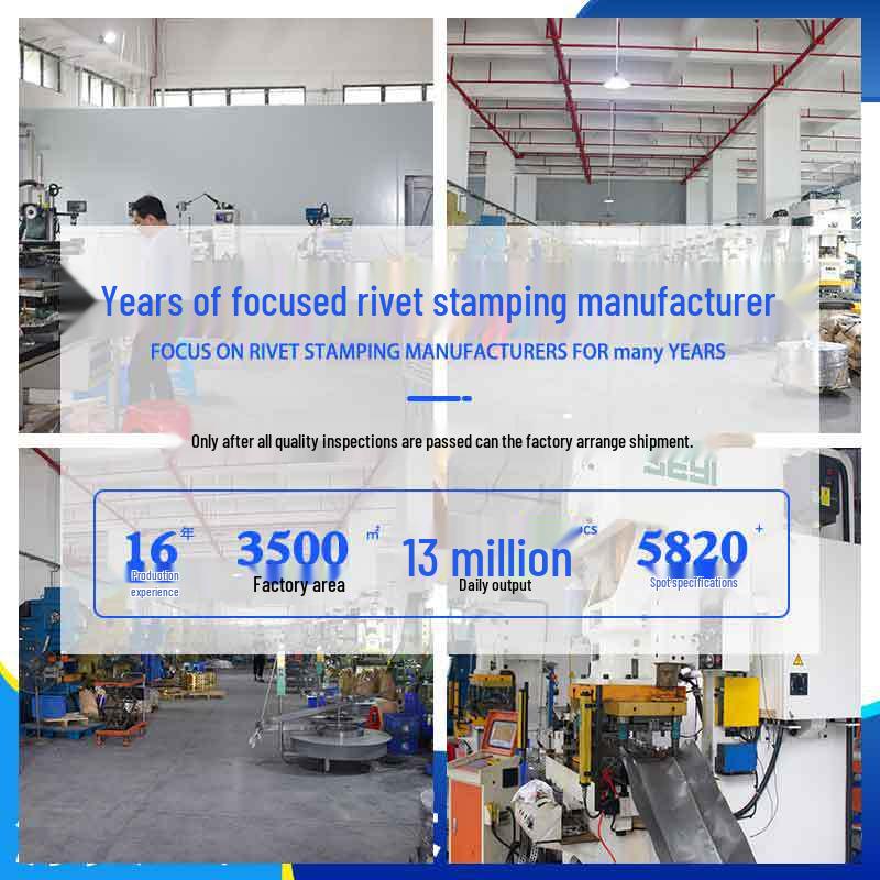 Fibbia Durevole in Acciaio Inossidabile 304 per Abbigliamento con Occhiello Metallico e Artigli per Cinghia/Telo