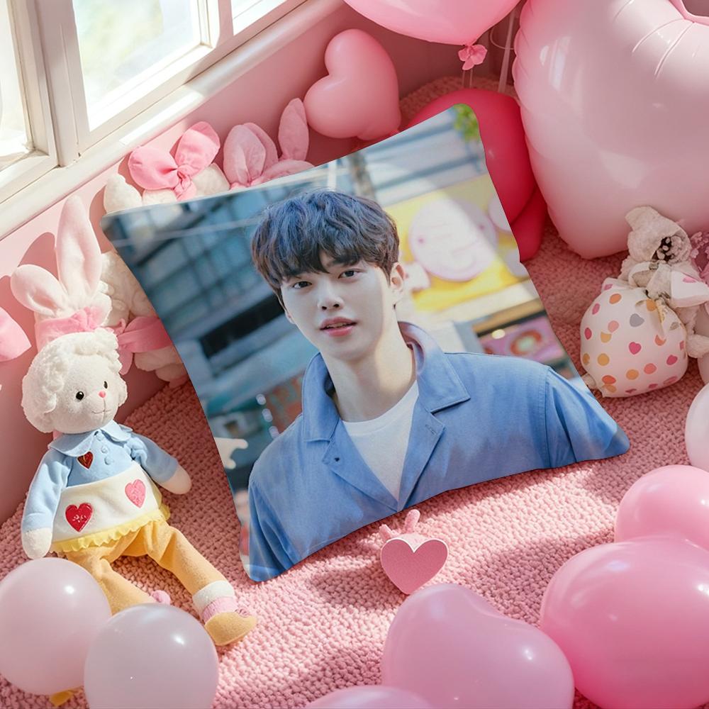 Korean S-Song K-Kang Pillow Case Soft Plush Fabric Double-Sided Printed Cushion Cover Warm Winter Sofa Pillow Case