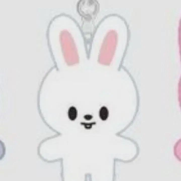 

Брелок Skzoo Micro Revit