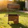 Antique Styles Metal Flower Pot Cart With Antique Finish Perfect For Patios And Yard Decoration Lawn Ornament Display