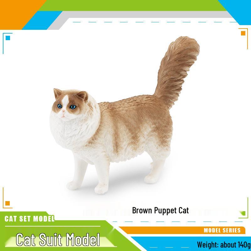 Children's Kitten Model Set: Ragdoll Cat, Lazy Orange Cat, Paw-Up Grey Cat, Sleeping Calico Cat, Lying Siamese Cat Figurines.