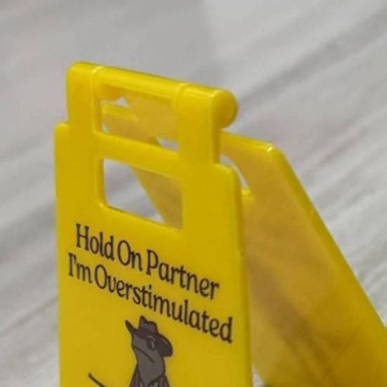1/2/3Pcs Caution Overstimulated Desk Sign Cowboy Frog Hold On Partner I'm Overstimulated Mini Table Sign Home Office Decoration Coworkers Gag Gift