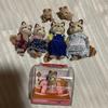 Used Raccoon Sylvanian Families