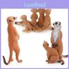 Realistic Pvc Mongoose Animal Model Toy For Kids Learning Decorations Gifts