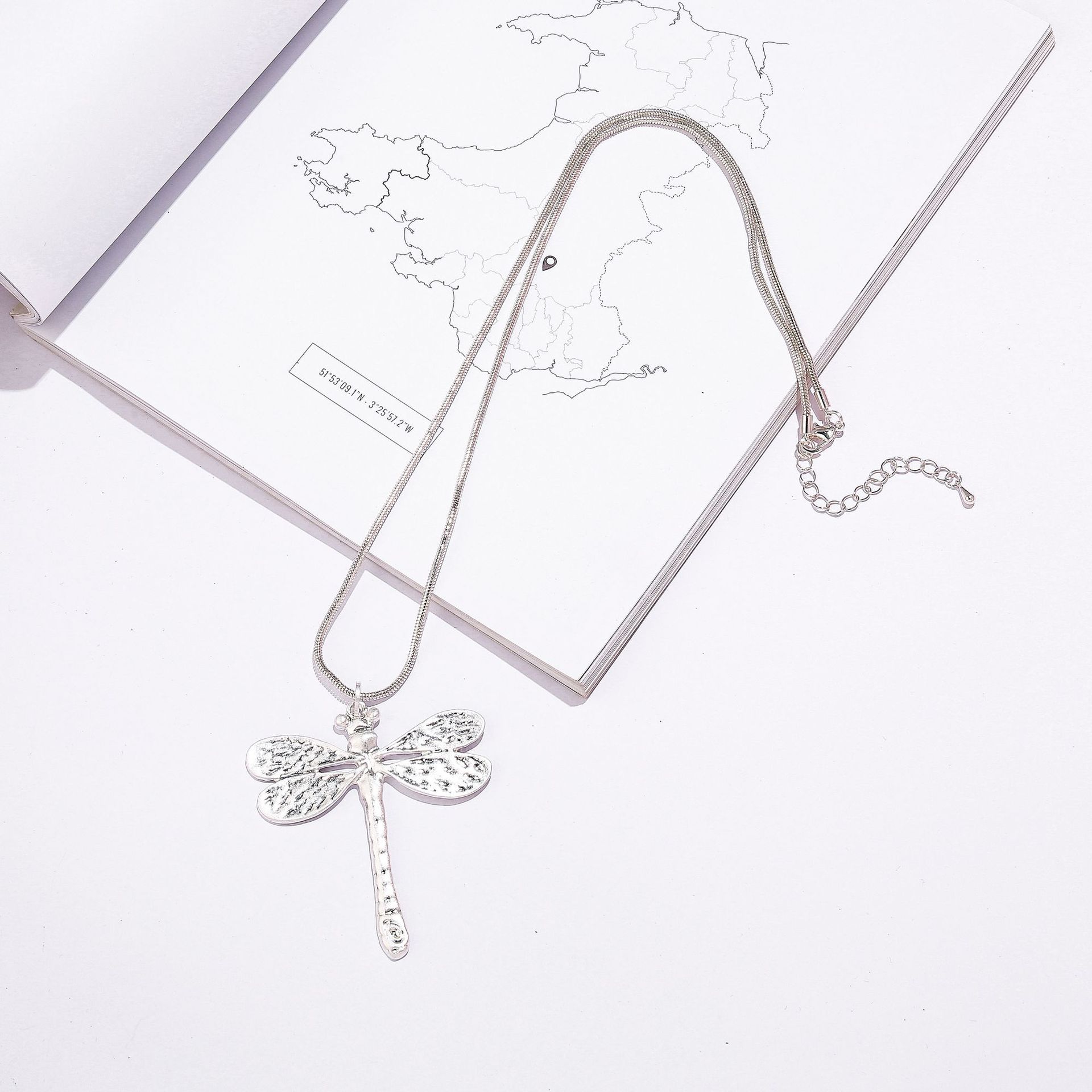 Wind Advanced Sense Snake Bone Chain Alloy Women S Simple Long Sweater Chain