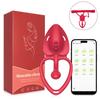 Wearable Panty Vibrator Adult Sex Toy Wireless Control Vibrating Penis Ring with Lace Strap Clitoral Stimulator for Women Couple