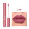 Lipstick, Velvet Lip Makeup for Women, Lip Color