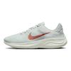 Nike Flex Experience Run 11 Next Nature Pure Platinum Light Crimson Women Sneakers Grey Wolf-Grey Summit-White DD9283-007