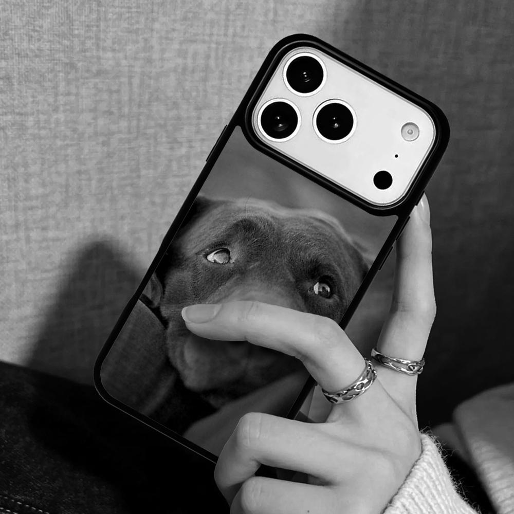 Capa Case for iPhone 17 Air 16 Pro Max 15 Plus 11 13 Mini 14 12 Back Phone Cover Labrador Retriever Golden Dog Puppy