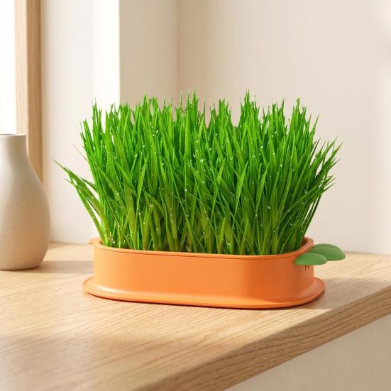 Hydroponic Cat Grass Growing Kit for Indoor Cats Soil Free Wheatgrass Planter with 5 Pack Seeds for Hairball Control