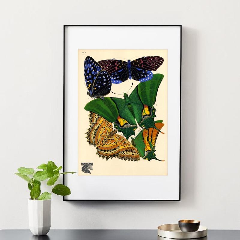 1924 Eugène Séguy Vintage Schmetterlingsillustration Poster Französisch Papillon Leinwandgemälde Natur Wandkunst Wohnzimmer Heimdekor