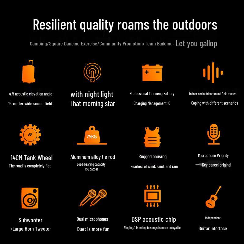 SANSUI D12 12-inch Portable Karaoke Speaker with Dual Microphones CN Plug (adapter Included)