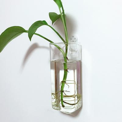 Vase à fleurs hydroponique vert suspendu au mur, colonne carrée en forme de colonne, verre transparent, décoration de maison moderne, décoration de chambre