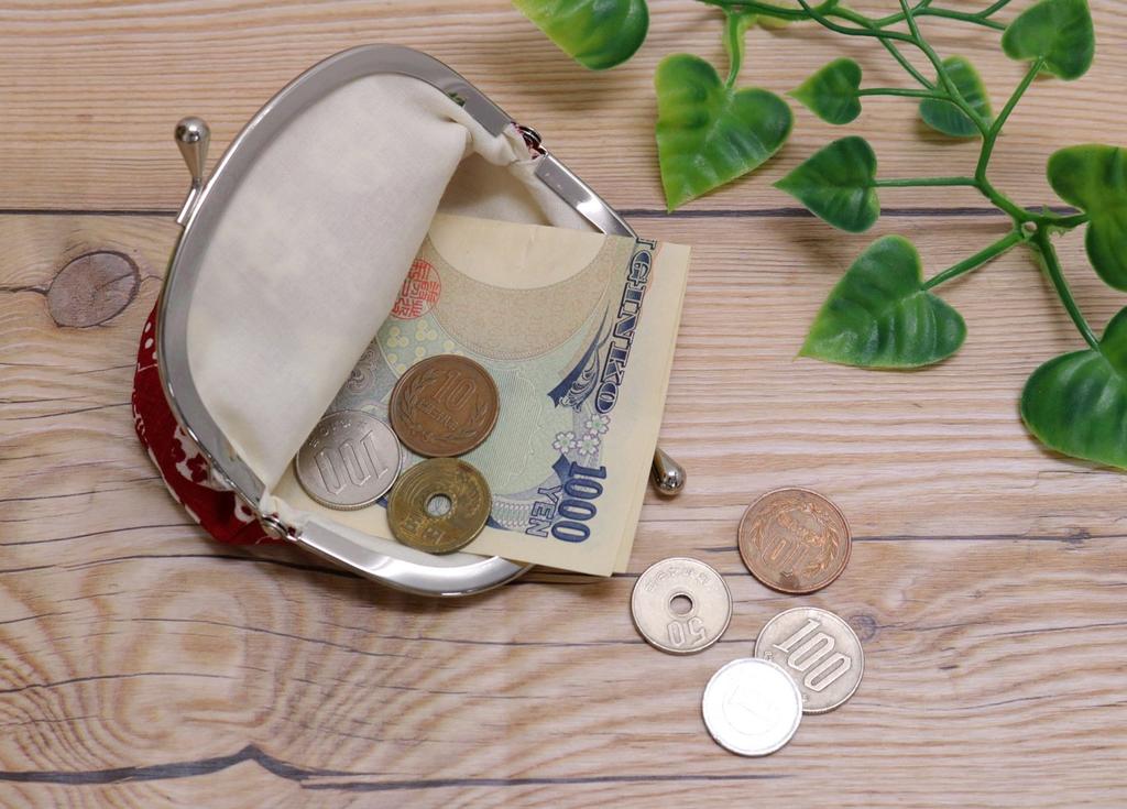 Kyoyu Nyankomon Cat Wallet with Coin and Accessory 12 X Red Japanese-made Case, 3.3 Inches, 11.5 Cm,