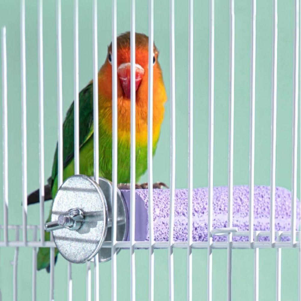 

Устойчивая к укусам игрушка для стоящих птиц, износостойкая стойка для птичьей клетки