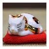 Lucky Cat Ornament Kutani Ware Chibi Sleeping Cat Golden Calico Opening Celebration Birthday Present Gift