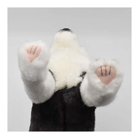 BH7512 HANSA Siberian Husky Pup 43