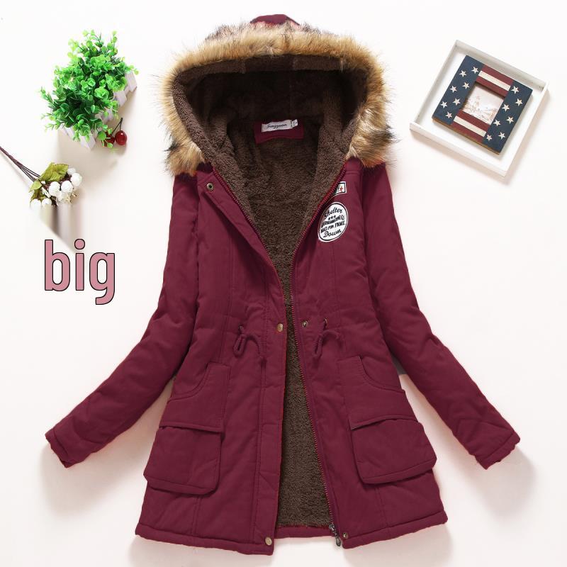 Giacca da donna in cotone spessa con cappuccio, stile coreano, Autunno/Inverno 2025