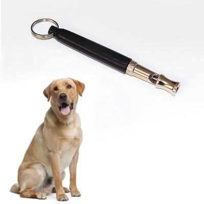 Köpek – Eğitim ve Öğretim Araçları