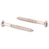 20 Electric Guitar Neck Plate Screws for Fender Strat and Tele