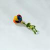 Blucome Green Frog Lifting Hot Air Balloon Shape Brooch Enamel Animal Corsage Jewelry for Women Suit Hijab Pins