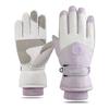 Autumn and Winter Ski Gloves for Men and Women Couples Cycling Sports Plus Velvet Thickened Windproof Waterproof Cold Touch Screen Warm Gloves
