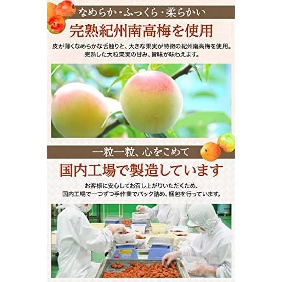 Kishu Nanko Ume Umeboshi Additive-Free Traditional Sour Taste Salt Content 20 Large Size Fully Ripe White Dried Crushed Domestic 400g (1 Piece)