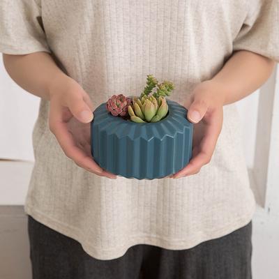 Creative Succulent Flower Pot Plastic Thickening Creative Green Plants Pot Vase Garden Home Table Decoration Small Flower Pots