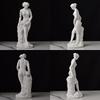 Greek Goddess Statue Human Body Figurine Art Ornaments Aphrodite Sculpture Venus Figurine Office Bookcase Living Room Home Decor