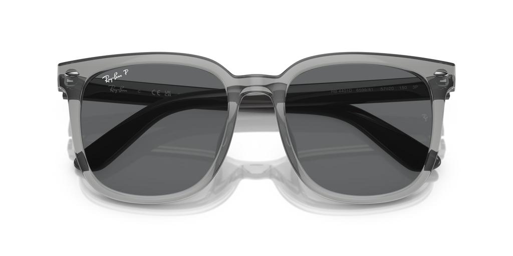 Sunglasses 0RB4401D TRANSPARENT GRAY 55 [Ray-Ban]